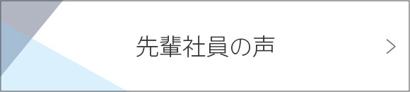 先輩社員の声